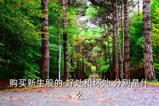 購買新生股的 好處和壞處 分別是什么