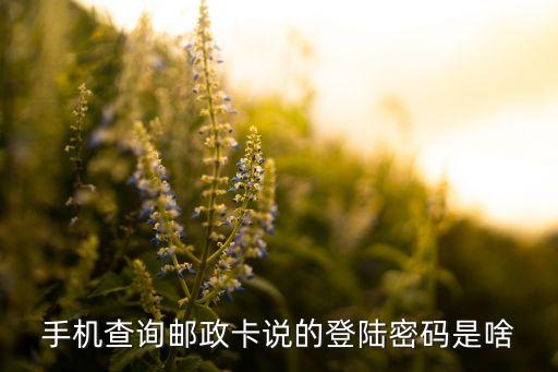 郵政信用卡電話查詢密碼是什么，手機(jī)查詢郵政卡說的登陸密碼是啥