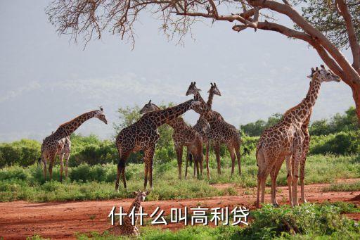 什么叫高利貸，高利貸是什么