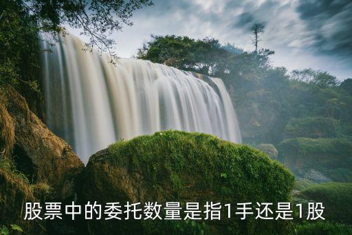 股票委托數(shù)量是什么，買股票的時(shí)候什么是委托數(shù)量啊