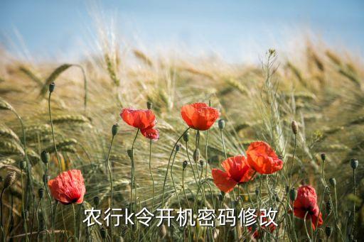 農(nóng)行k令開機(jī)密碼修改