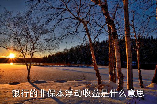 非保本浮動(dòng)收益是什么意思，在農(nóng)行理財(cái)里非保本浮動(dòng)收益是什么意思