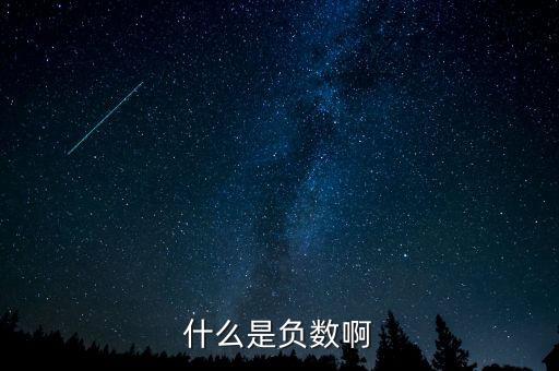 什么是負(fù)數(shù)啊