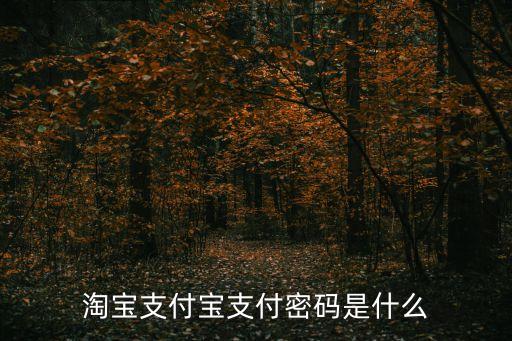 花唄提供淘寶密碼是什么，淘寶支付密碼是什么