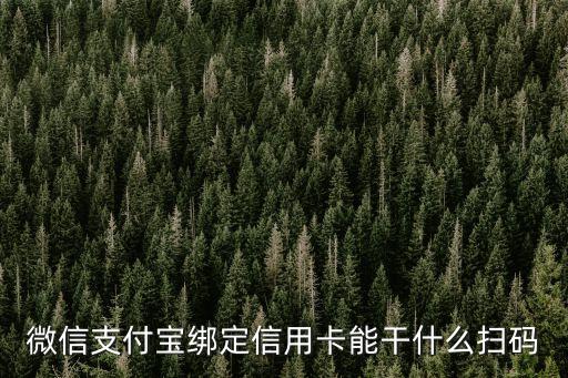 微信支付寶綁定信用卡能干什么掃碼