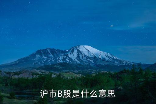 上海b股是什么，滬市B股是什么意思