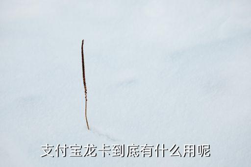 開通龍支付有什么用，建設(shè)銀行龍支付和支付寶有什么不同