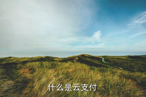 什么是云支付