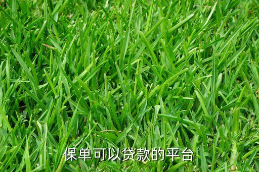 保單可以貸款的平臺