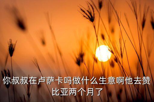 你叔叔在盧薩卡嗎做什么生意啊他去贊比亞兩個(gè)月了