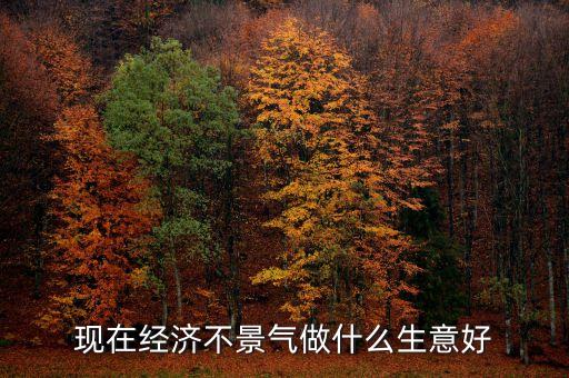 現(xiàn)在經(jīng)濟(jì)不景氣做什么生意好