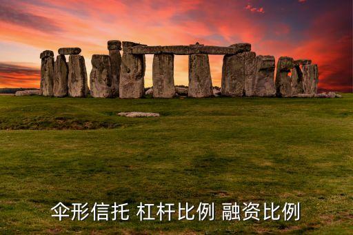 傘形信托的杠桿比例是什么意思，傘型結(jié)構(gòu)化信托產(chǎn)品