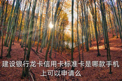 建設(shè)銀行龍卡信用卡標(biāo)準(zhǔn)卡是哪款手機(jī)上可以申請(qǐng)么
