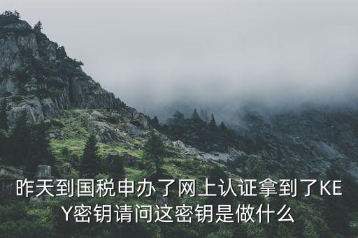 昨天到國稅申辦了網(wǎng)上認(rèn)證拿到了KEY密鑰請問這密鑰是做什么