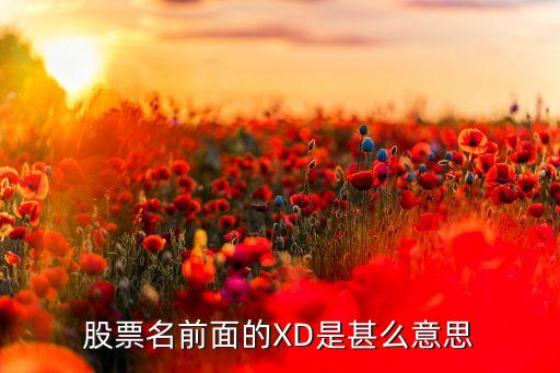 股票名稱前加xd是什么意思，股票名前面的XD是甚么意思