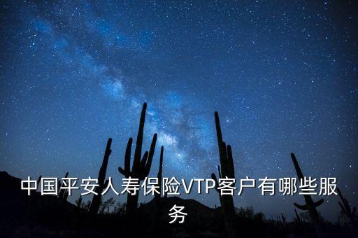 中國平安人壽保險VTP客戶有哪些服務
