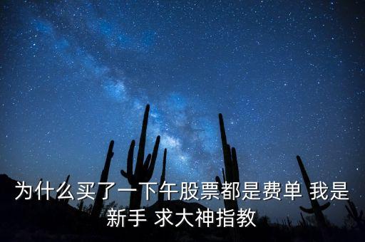 股票費(fèi)單是什么意思，剛開(kāi)的戶為什么我的掛上的股票單是費(fèi)單