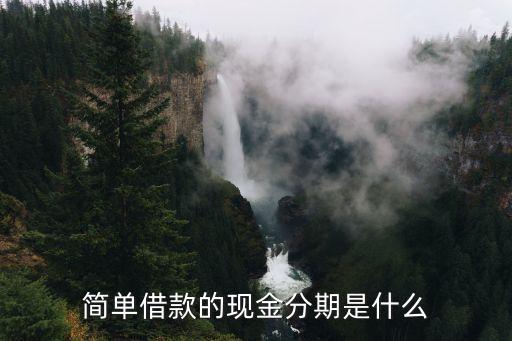 簡單借款的現(xiàn)金分期是什么