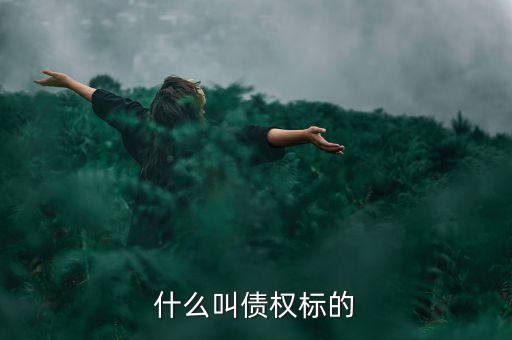 什么叫債權(quán)標(biāo)的