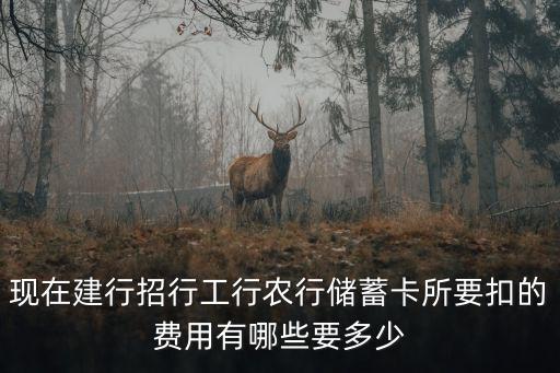 現(xiàn)在建行招行工行農(nóng)行儲(chǔ)蓄卡所要扣的費(fèi)用有哪些要多少
