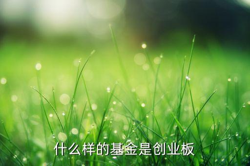 創(chuàng)業(yè)板基金是什么意思，創(chuàng)業(yè)板B是什么