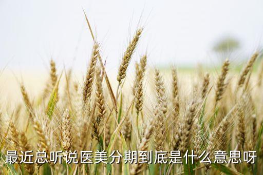 醫(yī)美分期什么人不批，誰用過醫(yī)療美容美哪貸分期是不是整形方面的都可以貸