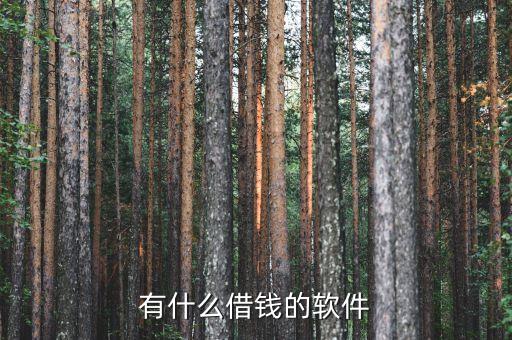 網(wǎng)上借貸平臺(tái)用什么軟件下載，有什么借錢軟件