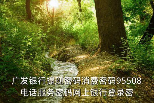廣發(fā)銀行提現(xiàn)密碼消費密碼95508電話服務(wù)密碼網(wǎng)上銀行登錄密
