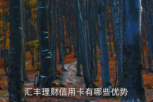 匯豐銀行信用卡什么好，匯豐有什么國內(nèi)好用的信用卡嗎