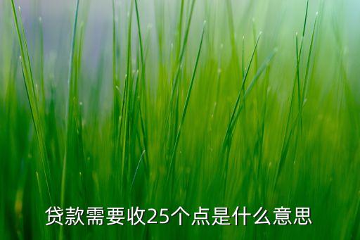 貸款需要收25個點是什么意思