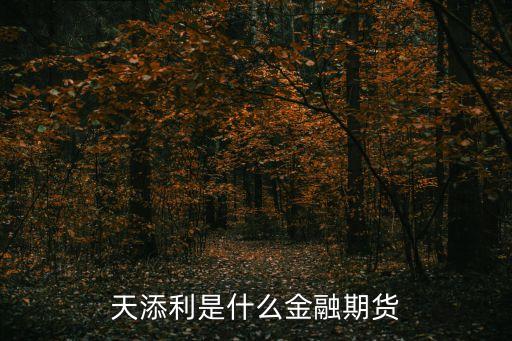天添利是什么金融期貨