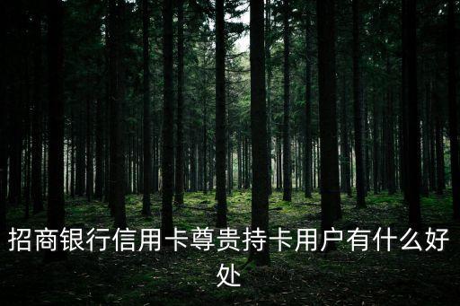 招商銀行信用卡尊貴持卡用戶有什么好處