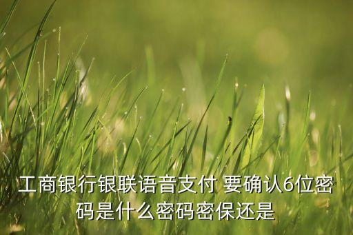 工商銀行銀聯(lián)語(yǔ)音支付 要確認(rèn)6位密碼是什么密碼密保還是