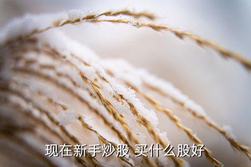 現(xiàn)在新手炒股 買(mǎi)什么股好