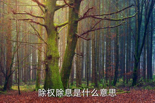 除權(quán)除息是什么意思