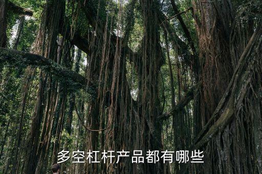 多空杠桿產(chǎn)品都有哪些