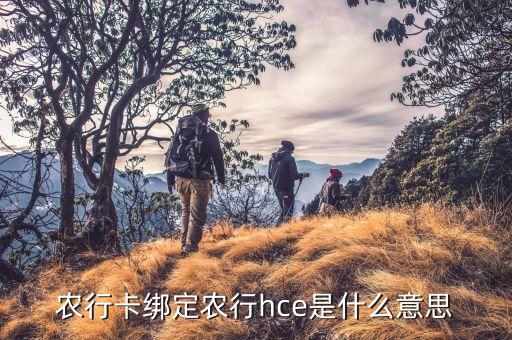 農(nóng)行卡綁定農(nóng)行hce是什么意思