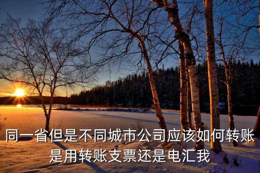 同一省但是不同城市公司應(yīng)該如何轉(zhuǎn)賬是用轉(zhuǎn)賬支票還是電匯我