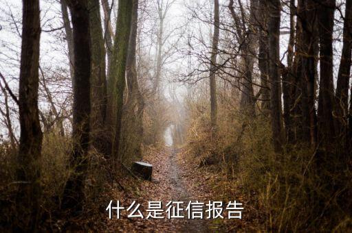 什么是征信報(bào)告