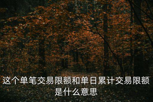 這個(gè)單筆交易限額和單日累計(jì)交易限額是什么意思