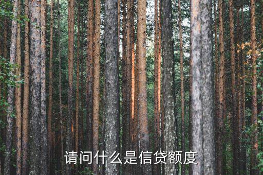 請(qǐng)問什么是信貸額度