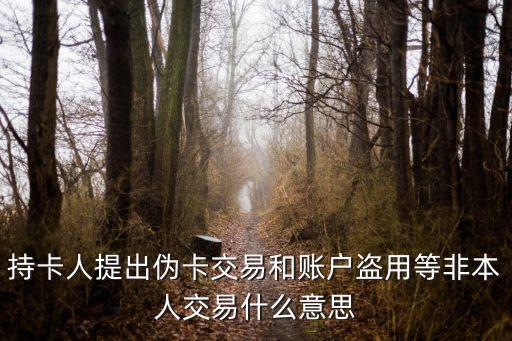 持卡人提出偽卡交易和賬戶盜用等非本人交易什么意思