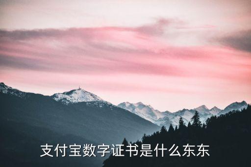 支付寶數(shù)字證書(shū)是什么東東