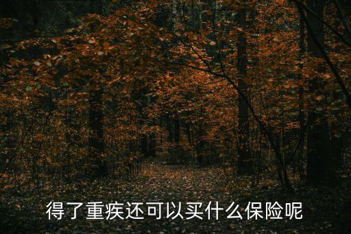 得了重疾還可以買什么保險呢