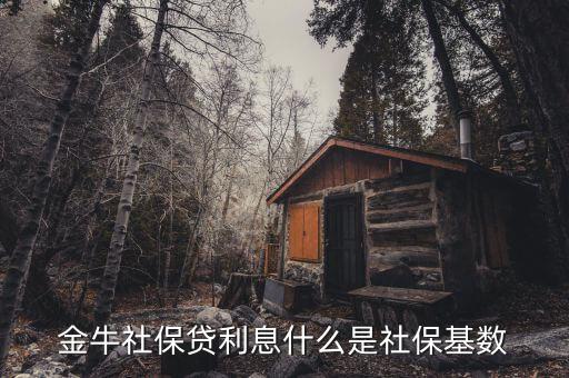 金牛社保貸利息什么是社?；鶖?shù)