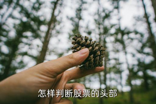什么股市的頭部，怎樣判斷股票的頭部