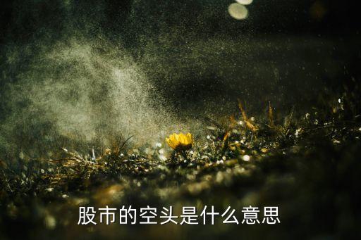 股市中空頭是什么意思，股市的空頭是什么意思