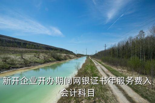 2014年籌辦期的網(wǎng)銀費用記入什么科目，網(wǎng)銀服務(wù)費計入什么科目