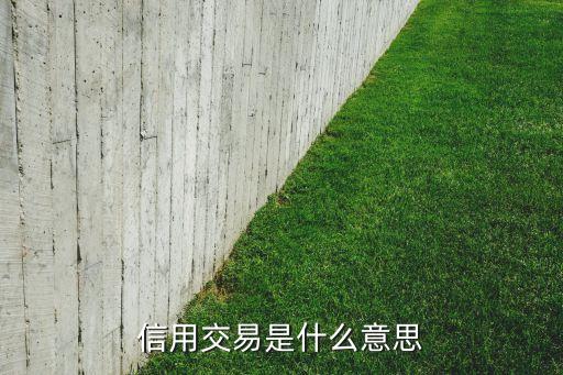 信用交易是什么意思