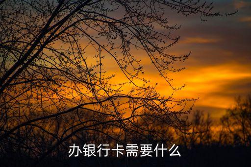 辦銀行卡需要什么